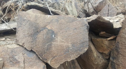 В Алматинской области разрушают древние скалы с петроглифами