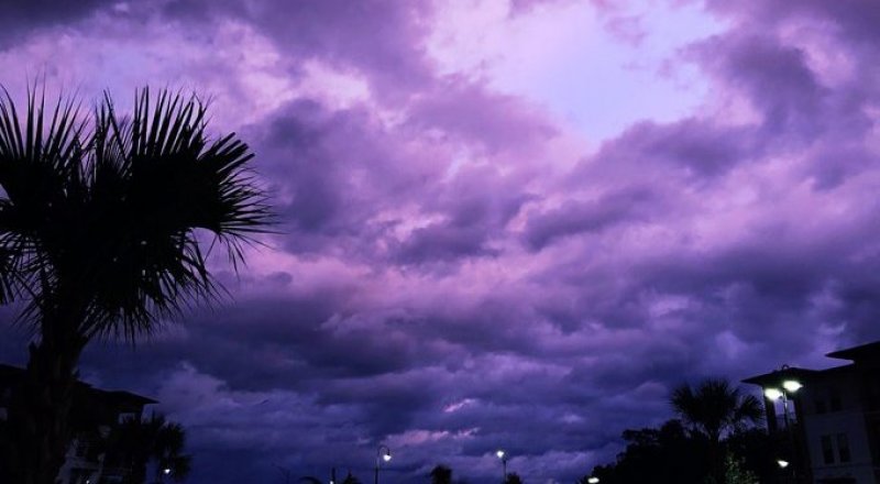 Пурпурно-фиолетовый закат во Флориде после урагана "Дориан". © Twitter