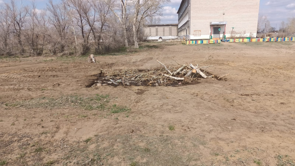 Директора школы наказали после падения ребенка в выгребную яму в Павлодарской области