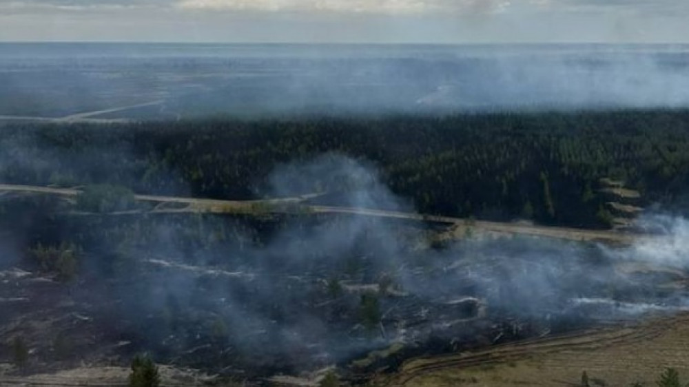 Режим ЧС объявлен из-за пожара в лесном резервате 
