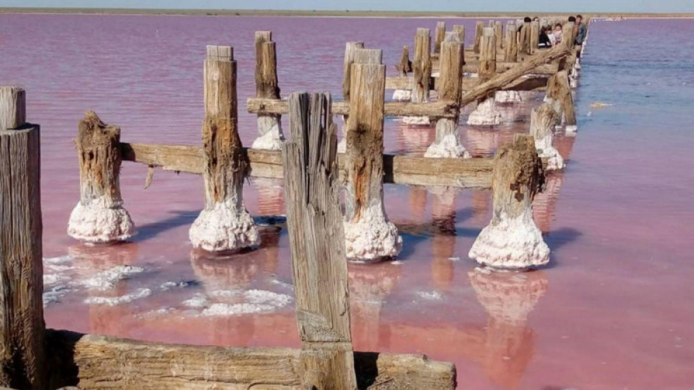 Знаменитое розовое озеро под Павлодаром не будут спасать