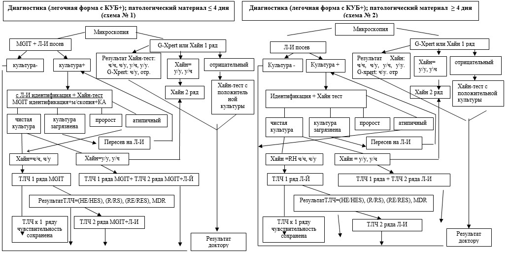 Инструкция по проведению промежуточного государственного контроля в школах казахстана