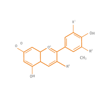 chemical hexagons