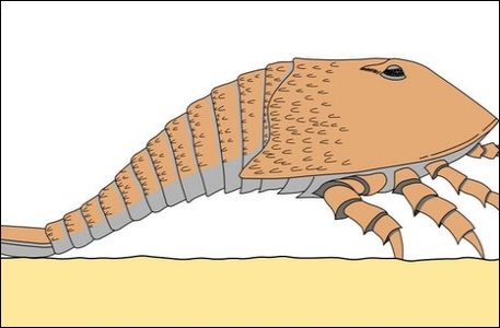 В Шотландии обнаружили следы гигантского скорпиона