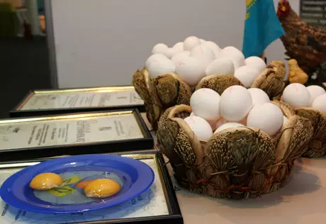 В Казахстане запретили использовать трансгены при производстве яичных продуктов 
