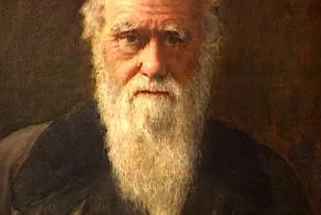 Найденную в туалете редкую книгу Дарвина выставят на торги