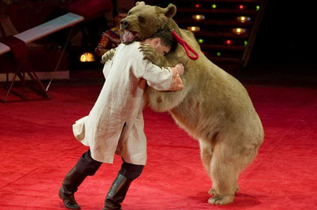 В Бишкеке цирковой медведь напал на людей