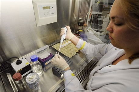 В России отказались от тендера на закупку вакцины от гриппа A/H1N1