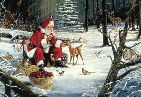 Увлечение Санта-Клаусами довело канадца до Книги рекордов Гиннесса