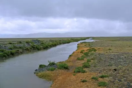 Киргизия возобновила подачу поливной воды на юг Казахстана