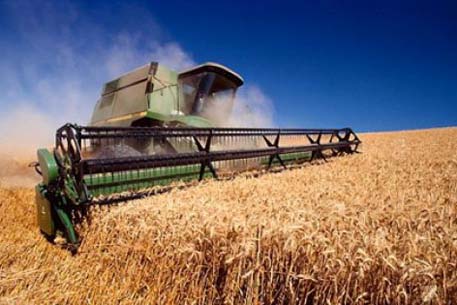 ЕАБР профинансирует закуп и экспорт казахстанского зерна