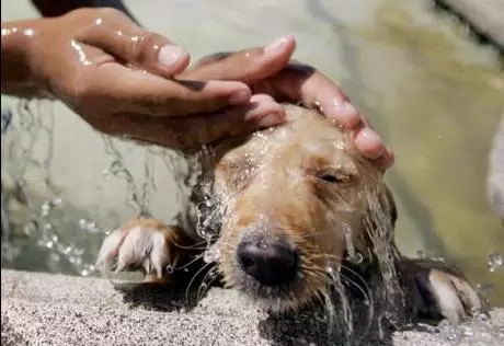 Из-за жары в Аргентине объявлен высший уровень опасности