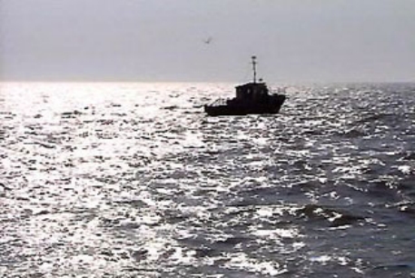 В Азовском море столкнулись турецкий и грузинский корабли