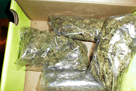 Полиция Алматы изъяла 130 килограмм марихуаны у наркокурьера