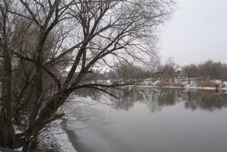 В Ростовской области пропали три ребенка