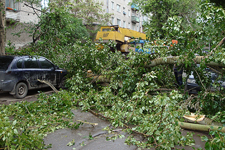 Тополь упал на машину