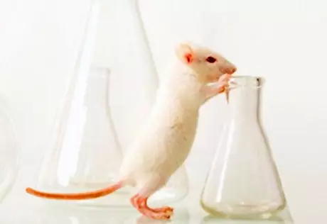 Американские ученые нашли способ полного излечения от болезни Альцгеймера