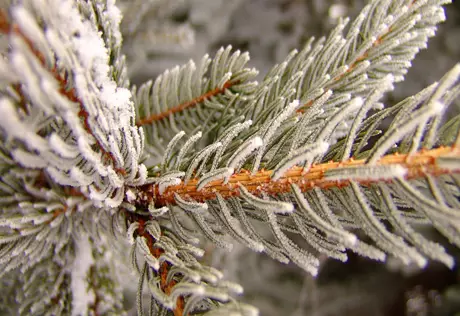 В Казахстане потеплеет после 10 января