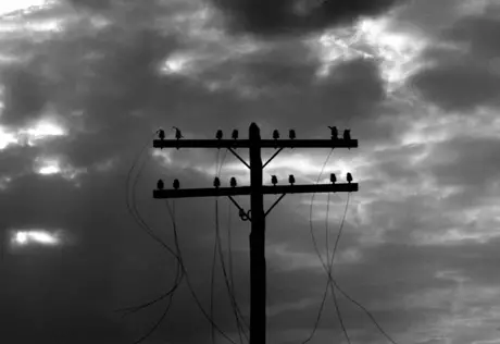 Непогода лишила электроснабжения 16 районов Подмосковья 