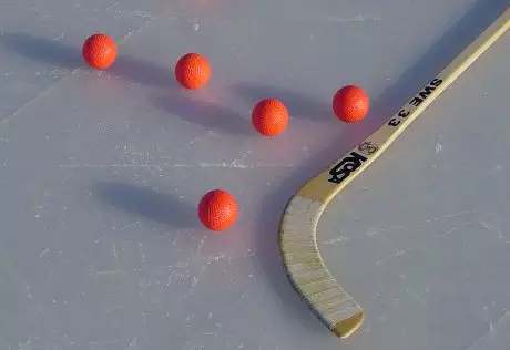 Хозяином чемпионата мира 2012 по бенди выбрали Казахстан