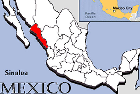 В Мексике из-за падения автобуса в ущелье погибли 14 человек