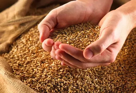 Customs Union sets zero tax on grain imports 