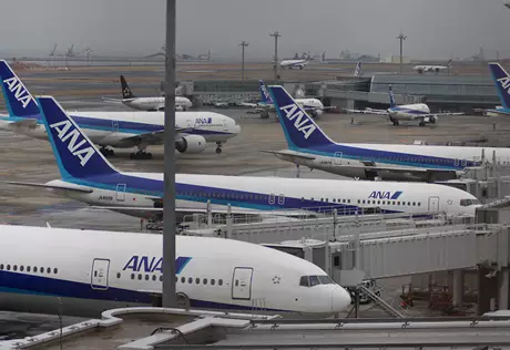 В Японии из-за инцидента в Южной Корее задерживаются авиарейсы