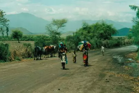 Эфиопия попросила помощь для 6,2 миллиона голодающих