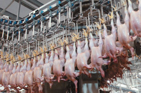 Россия сняла введенный из-за А/H1N1 запрет на ввоз мяса