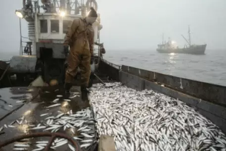 Российское судно "Фортуна" терпит бедствие в Беринговом море