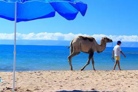 Отдых на Иссык-Куле подешевел в два раза