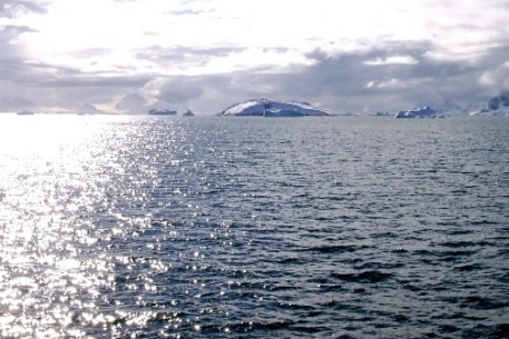 В Антарктическом океане нашли новое глубоководное течение