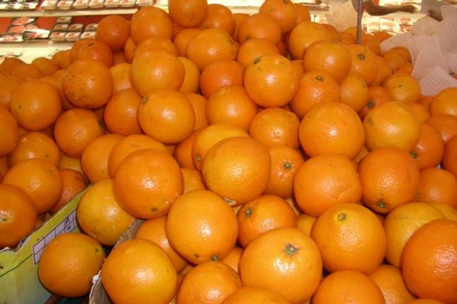 В Новороссийске задержали 70 тонн апельсинов с мухами