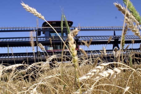 Украина ограничила экспорт зерна
