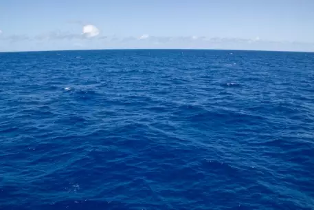 Американцы спасли дрейфовавших два месяца рыбаков