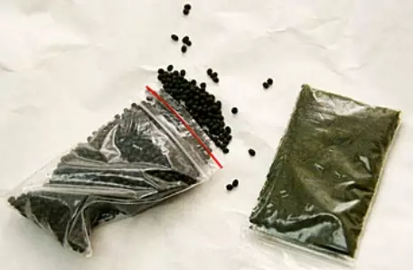 МВД запрещает насвай