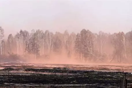 Волонтеры Подмосковья опровергли сообщение о ликвидации пожаров