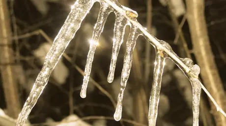 В Астане 22 января будет одним из самых теплых дней месяца