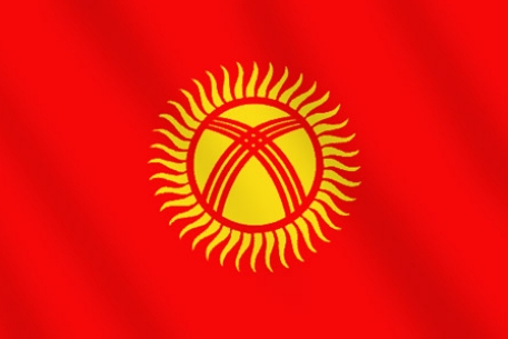 Минздрав Киргизии признал гибель 393 человек