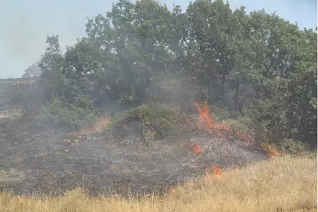 Локализовали пожар в дагестанском селе