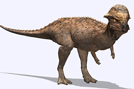 В Техасе обнаружили останки нового вида динозавров