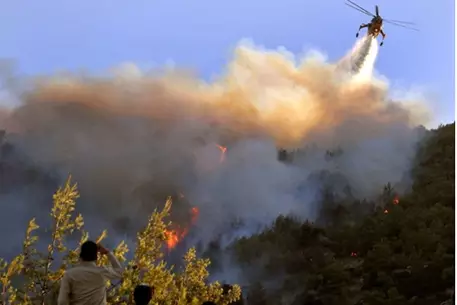 Под Афинами вспыхнули лесные пожары