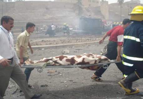 Теракт на стадионе иракского Таль-Афара унес жизни 25 человек