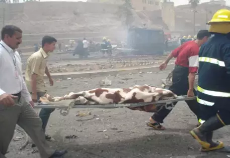 Теракт на стадионе иракского Таль-Афара унес жизни 25 человек