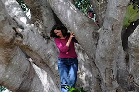 "Дерево" Джули Бертучелли закроет Каннский фестиваль