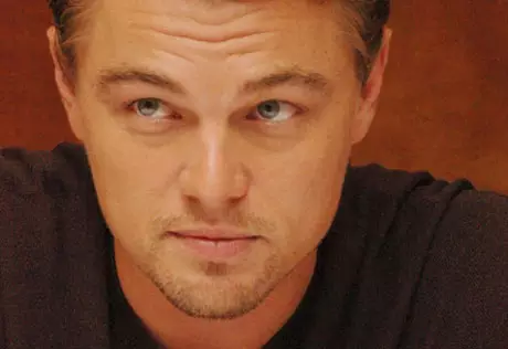 Ди Каприо находился на борту аварийно севшего в Нью-Йорке Boeing