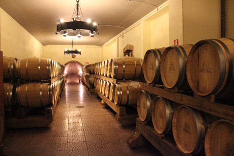 Винодельня Sella & Mosca - одна из престижнейших в мире
