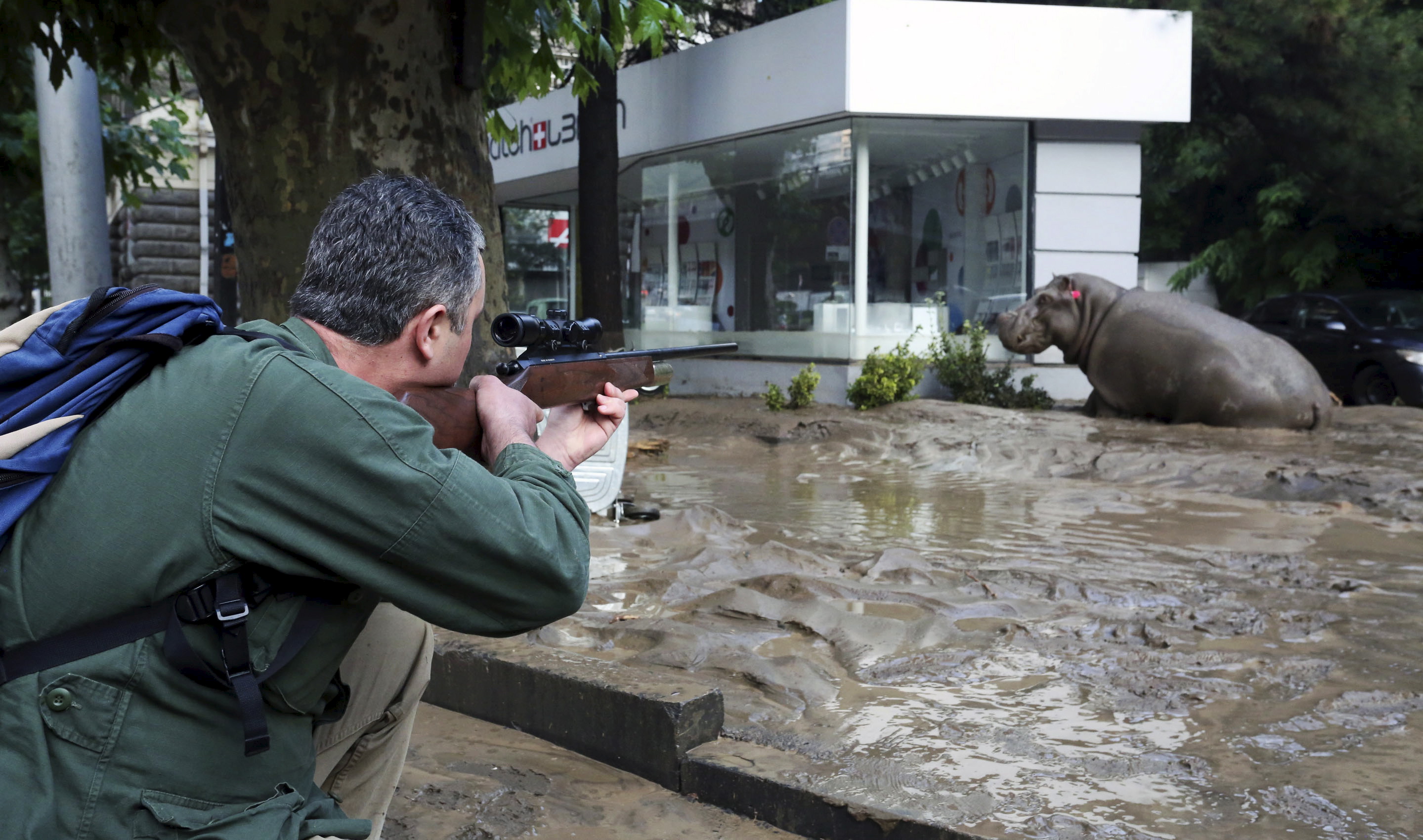 Lost the animals. Наводнение в зоопарке Тбилиси 2015. Наводнение в Тбилиси зоопарк. Тбилисский зоопарк наводнение 2015.