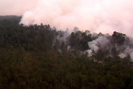 Лесные пожары в России бушуют на площади в 120 тысяч гектаров
