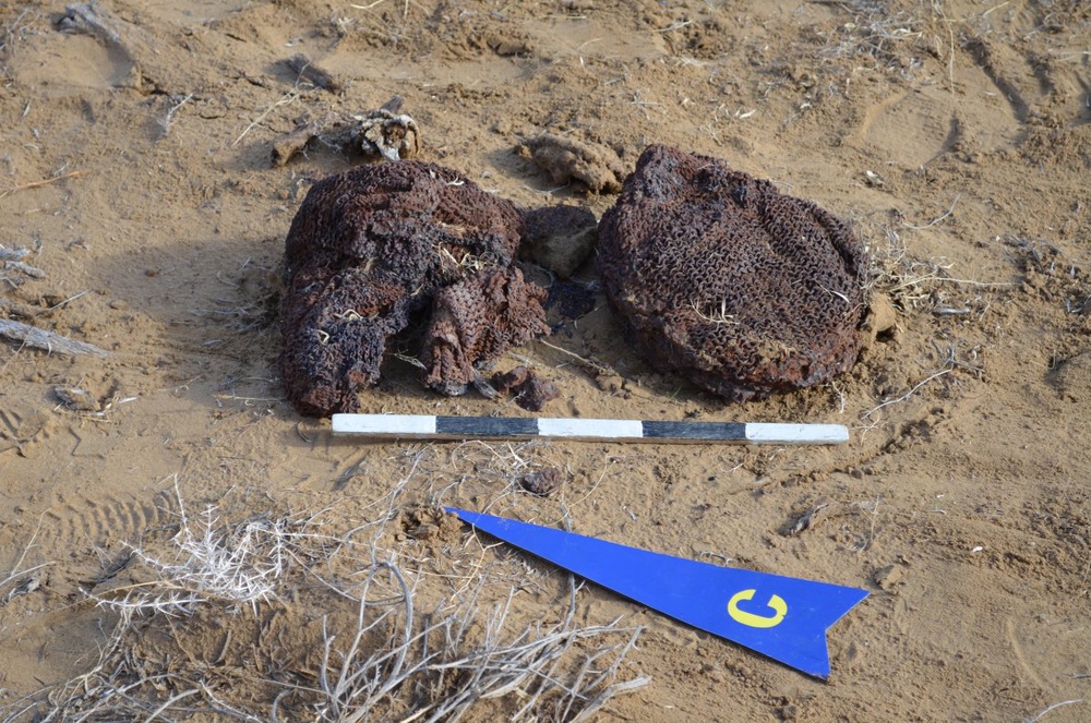 Артефакты были найдены в пустыне Кызылкум